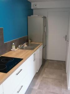 uma cozinha com um lavatório e um frigorífico em L'appartement des deux chênes em Capbreton