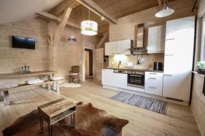 Kuchnia lub aneks kuchenny w obiekcie Steirer-Apartment Semmering