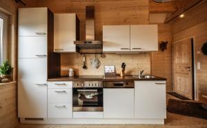 Kuchnia lub aneks kuchenny w obiekcie Steirer-Apartment Semmering