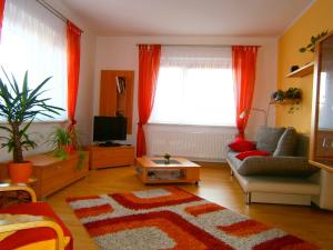 ein Wohnzimmer mit einem Sofa und einem Fenster in der Unterkunft Ferienwohnung Fischer in Jena