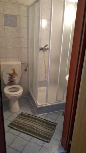 a bathroom with a toilet and a shower at Guesthouse Koprivec in Ljubljana