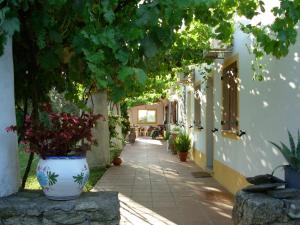 eine Vase voller Blumen auf einem Gehweg in der Unterkunft Quinta Paraiso in Alagoa