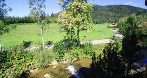 a field with cows grazing in a field with a river at Pension mit Bergblick in Inzell in Inzell
