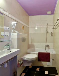 een badkamer met een toilet, een wastafel en een douche bij Hotel Panorama in Jáchymov