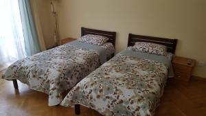 Afbeelding uit fotogalerij van Celebrity in Kamjanets-Podilsky