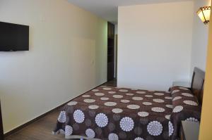 TV a/nebo společenská místnost v ubytování Hotel de Alba
