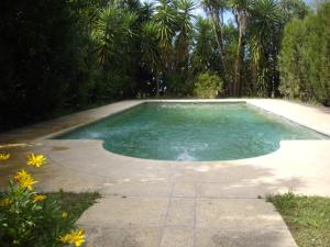 a swimming pool in a yard with trees and flowers at Casablanca in Chascomús