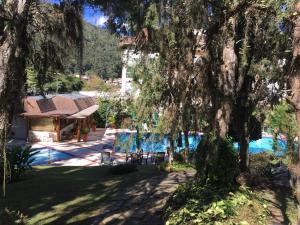 a view of the pool from under a tree at Granja Brasil in Itaipava