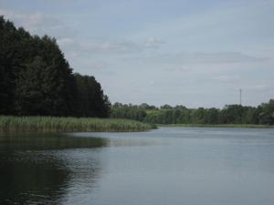 Przyroda w pobliżu tego gospodarstwa agroturystycznego