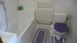 Koupelna v ubytování Apartman U Hanicky
