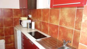 a small kitchen with a sink and a microwave at Apartments Rokytka - Praha in Prague +48 photos