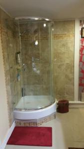 uma casa de banho com um chuveiro e um tapete vermelho em Cozy Mobay em Hampton
