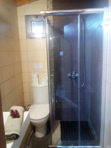 アテネにあるPanoramic Voula's View Apartmentのバスルーム(トイレ、ガラス張りのシャワー付)