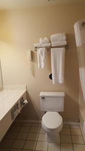 Ένα μπάνιο στο Flat Creek Lodge