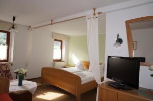 a room with a bed with a television and a mirror at Pension Goldener Anker in Reinhardtsdorf