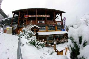 ブリッド・レ・バンにあるResidence Cybele "Grand Confort" 2の雪の大きなスキー場