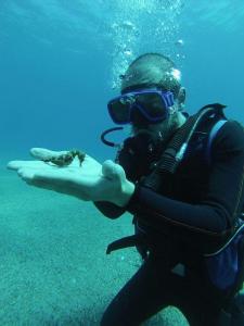 una persona en traje de buceo y una tortuga en el agua en Villa glori, en Marina di Gioiosa Ionica