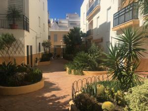 un patio de un edificio con un montón de plantas en Atico Costa Ballena golf y playa parking&wifi, en Costa Ballena