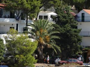 a palm tree in front of a white building at Mar Vista in Primošten