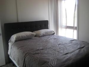 1 cama con 2 almohadas en un dormitorio con ventana en Bord de l'eau Maison toit Cathédrale Fenestré, en Sainte-Félicité
