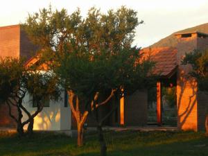 una casa con due alberi davanti di Cabañas La Lucinda a Cortaderas Altre 3 foto