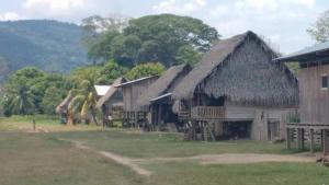 a group of houses with a grass roof at Hospedaje Independencia Pucallpa in Pucallpa