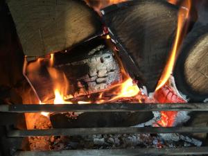 a fire in an oven with a pot at Garden Bank Cottage in Kelso