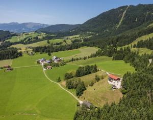 an aerial view of a green valley with houses at Schipplegg in Annaberg im Lammertal