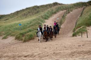 Afbeelding uit fotogalerij van Vrijstaande blokhut in Egmond-Binnen