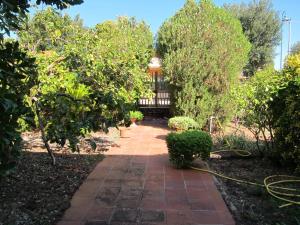 un chemin de jardin avec des arbres et une clôture dans l'établissement S. Giorgio, à Tinnura