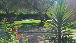 Foto dalla galleria di Ionian Breeze Studios a Città di Lefkada Altre 88 foto