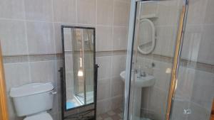 Kupaonica u objektu Knockaderry House