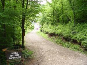 un camino de tierra a través de un bosque con una señal en Apartments Bisa en Soko Banja