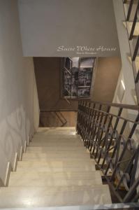 Fotografie z fotogalerie ubytování White House v destinaci Trani