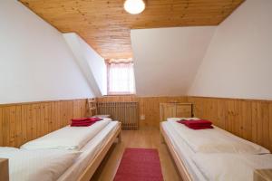 two beds in a room with wooden walls and a window at BILÍKOVA CHATA - Horský hotel in Vysoke Tatry - Stary Smokovec