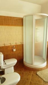 a bathroom with a toilet and a glass shower at Wieża nad Biebrzą in Dolistowo +36 photos