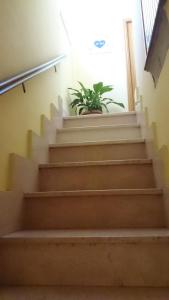 Fotografie z fotogalerie ubytování B&B La Casita v destinaci Chieti