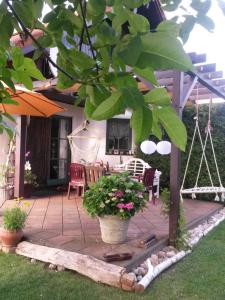 a patio with a swing and a tree at Ruhe geniessen bei Kulbes in Doberschütz