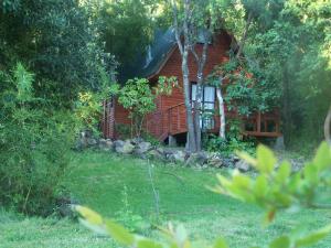 a log cabin in the middle of a yard at Cabañas Aliwen in Las Trancas