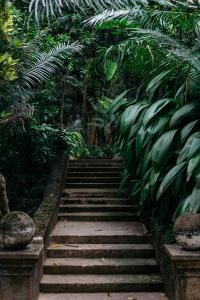 a set of stairs in a garden with plants at Boutique 87 in Bentota