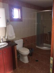 uma casa de banho com um WC, um lavatório e um chuveiro em Princess Studios em Afiartis