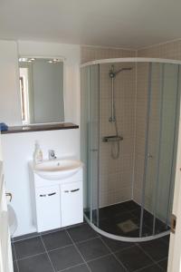 a bathroom with a shower and a sink at Stålemara Gård Prutgåsen in Fågelmara