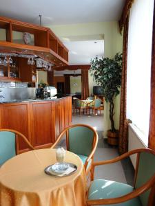 A kitchen or kitchenette at Hotel Ovit