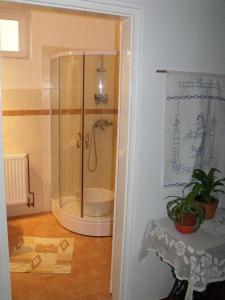 uma casa de banho com um chuveiro e uma banheira em Green Garden House em Gencsapáti