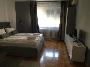 a bedroom with a bed and a window with a television at Apartment Silver Pedestrian Zone in Belgrade