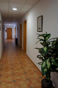 Gallery image of Hotel Apartamentos Kantara Al-Saif in Alcántara