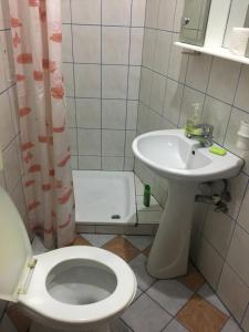 Koupelna v ubytování Bujtina (Pension) Oltas