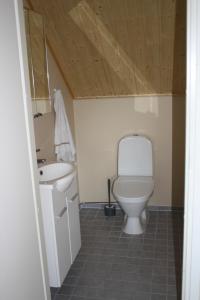 a bathroom with a toilet and a sink at Surkeenjärven Jaakon talot in Moksinkylä
