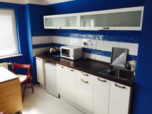 Kuchyň nebo kuchyňský kout v ubytování Villa Cihelna apartments