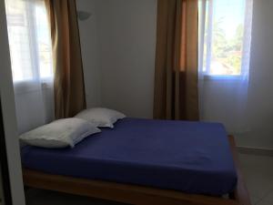 a blue bed with two pillows and a window at Villa Violette in Ambatoloaka